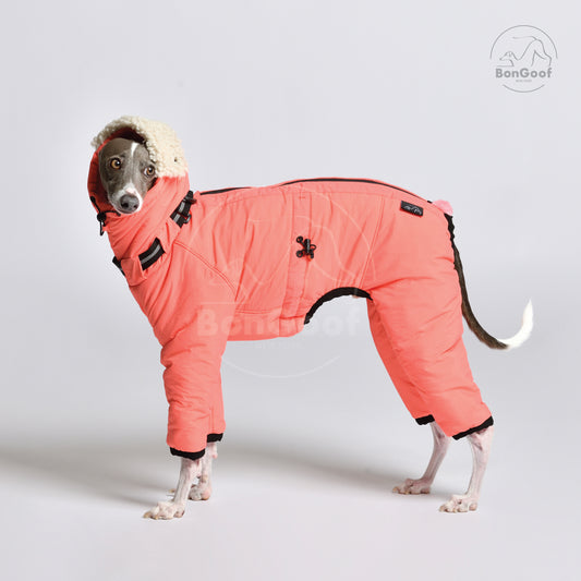 ASPEN Snowsuit - Coral