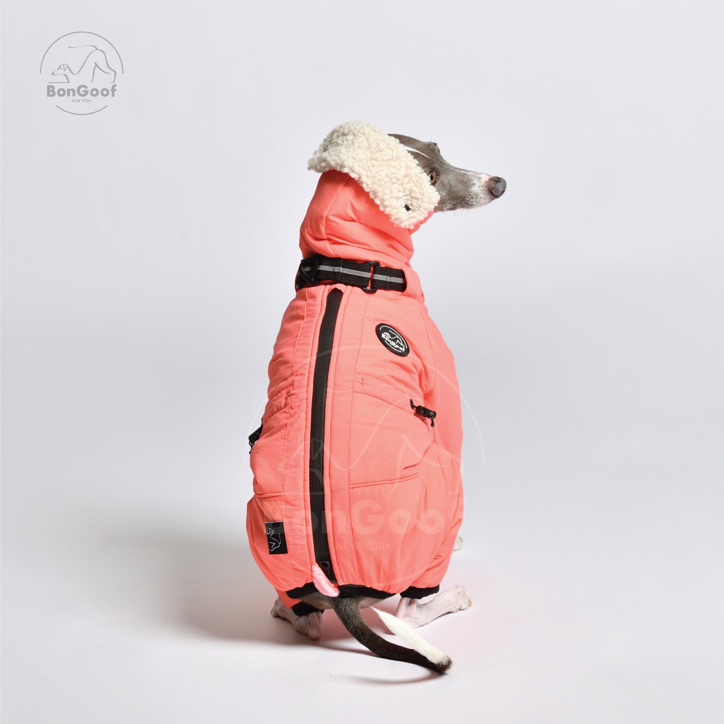 ASPEN Snowsuit - Coral