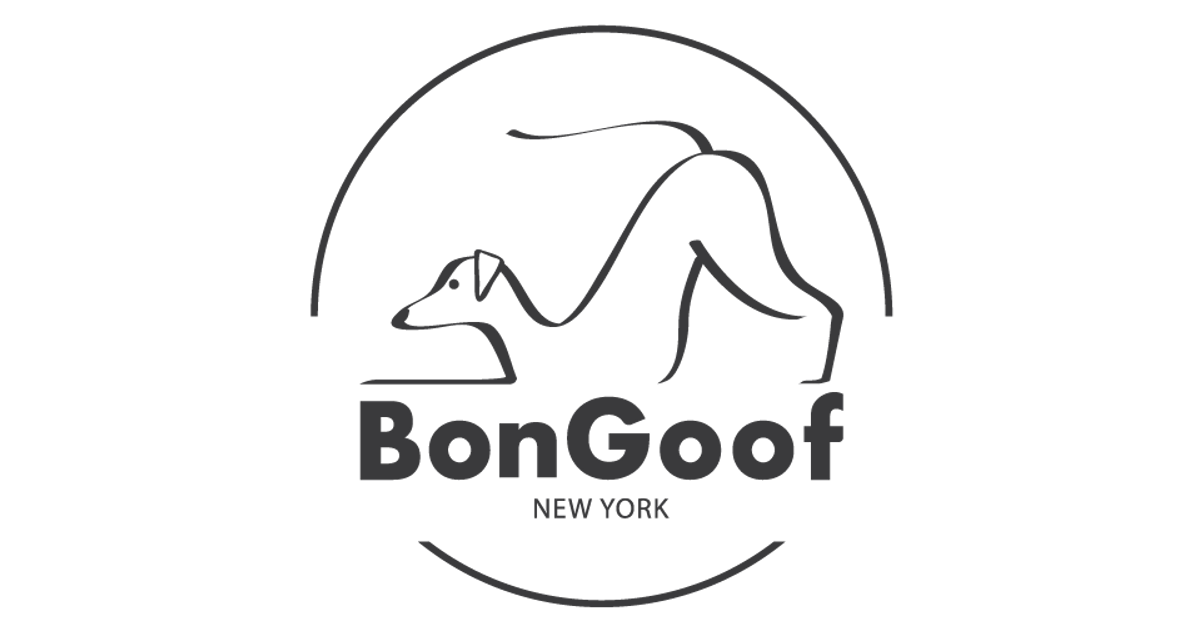 Italian greyhound supplies hot sale