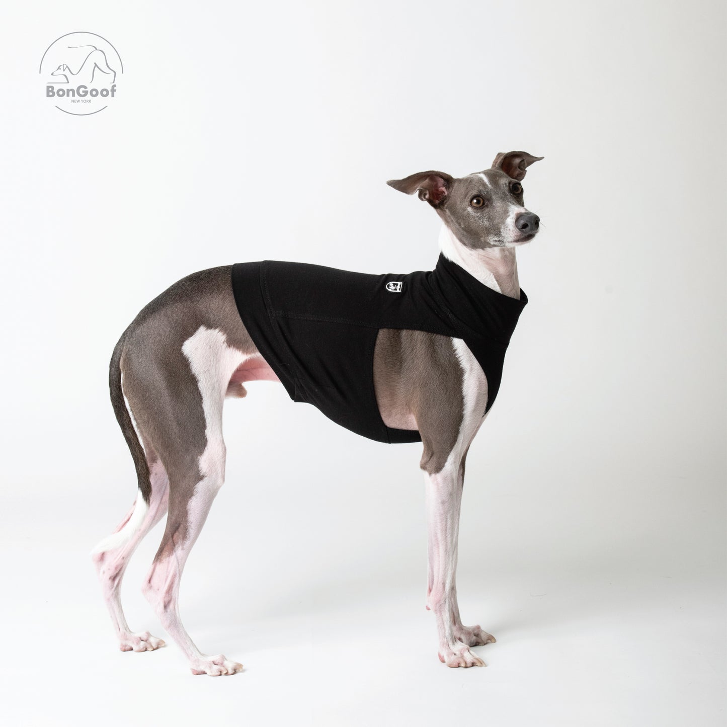EchoPace Crop Top - Black
