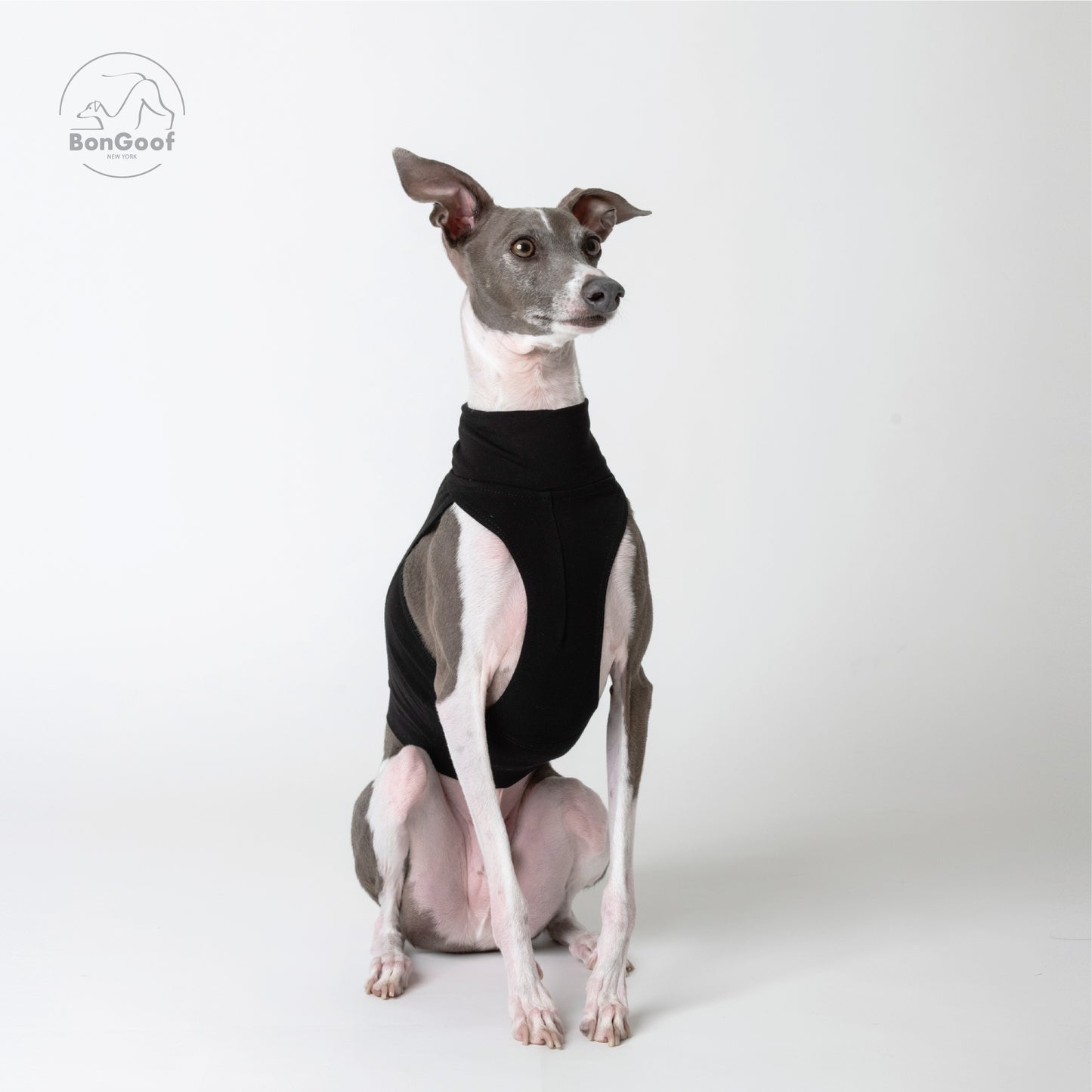 EchoPace Crop Top - Black