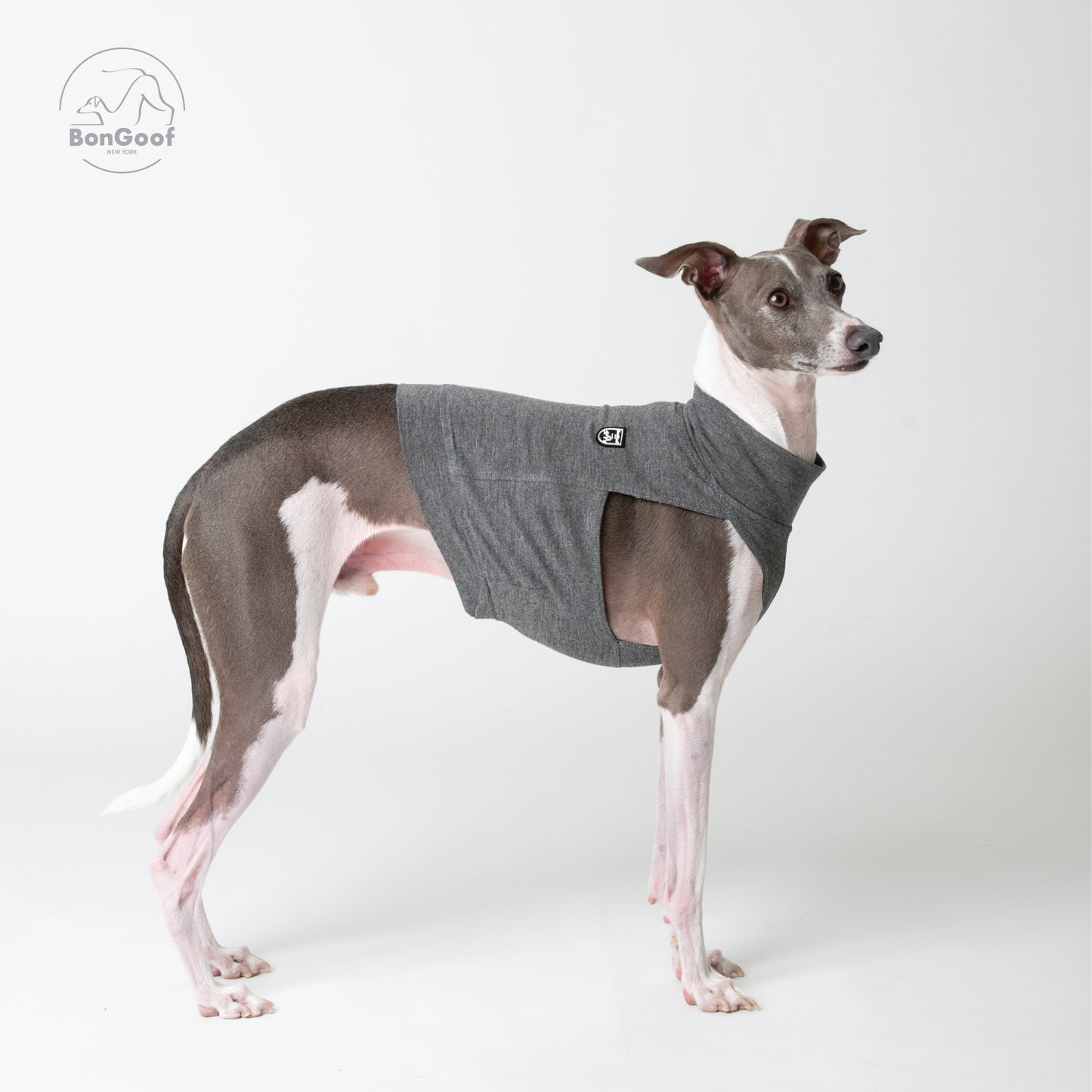 EchoPace Crop Top - Grey