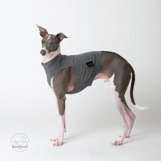 EchoPace Crop Top - Grey