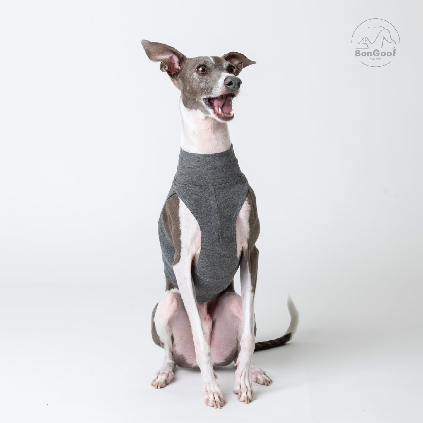EchoPace Crop Top - Grey
