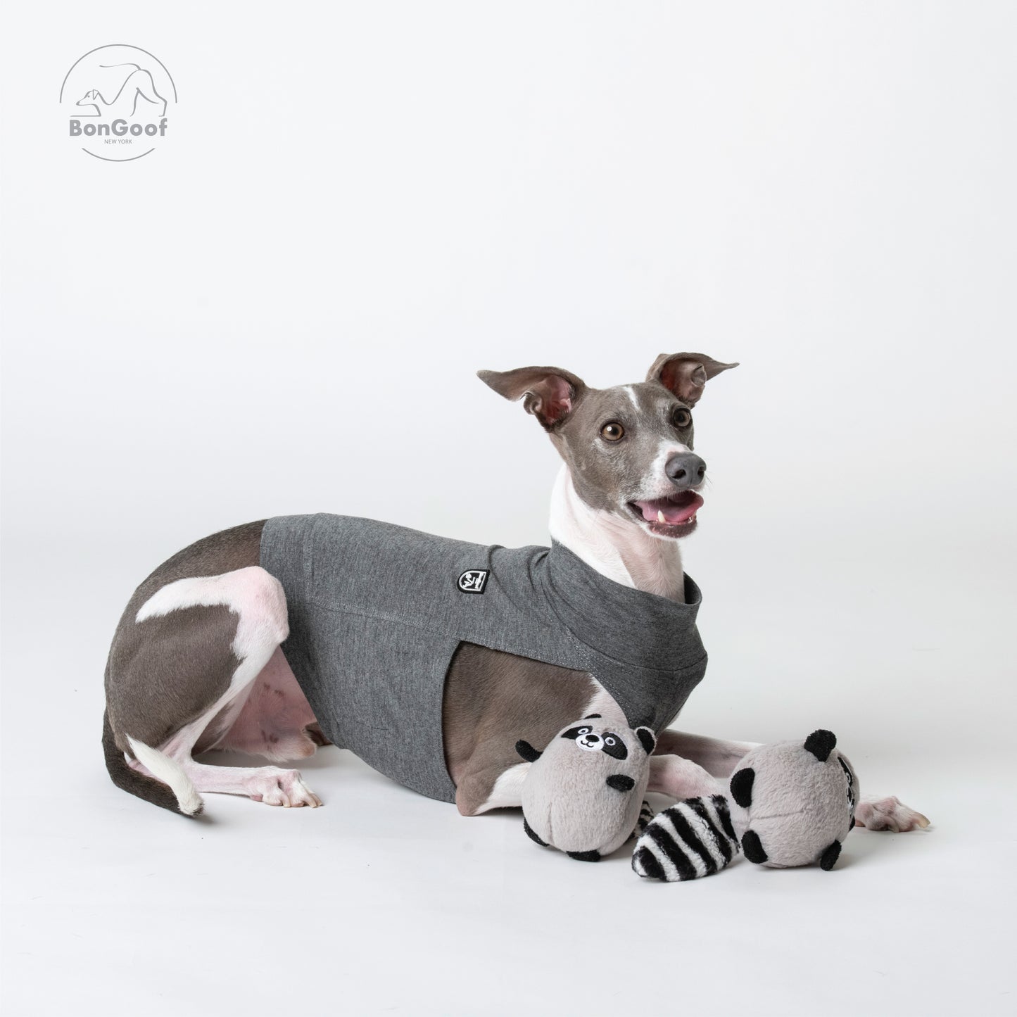 EchoPace Crop Top - Grey