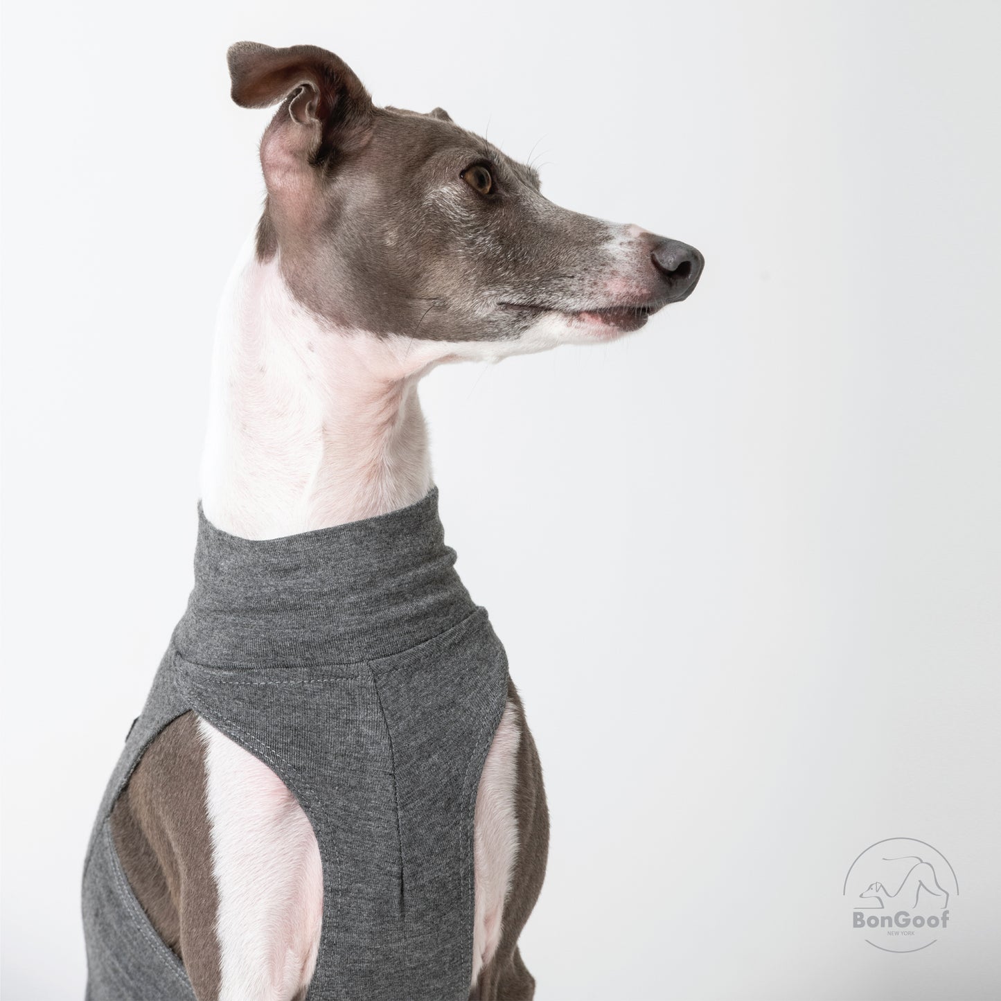 EchoPace Crop Top - Grey