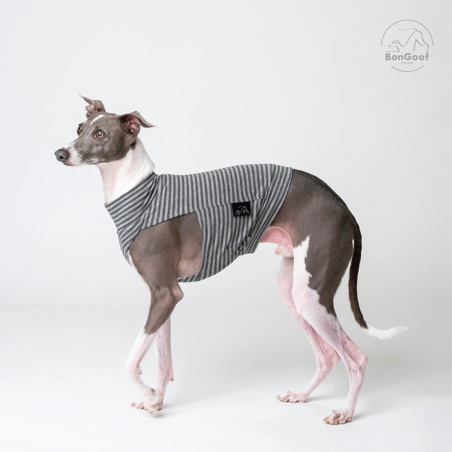 EchoPace Crop Top - Grey Stripe