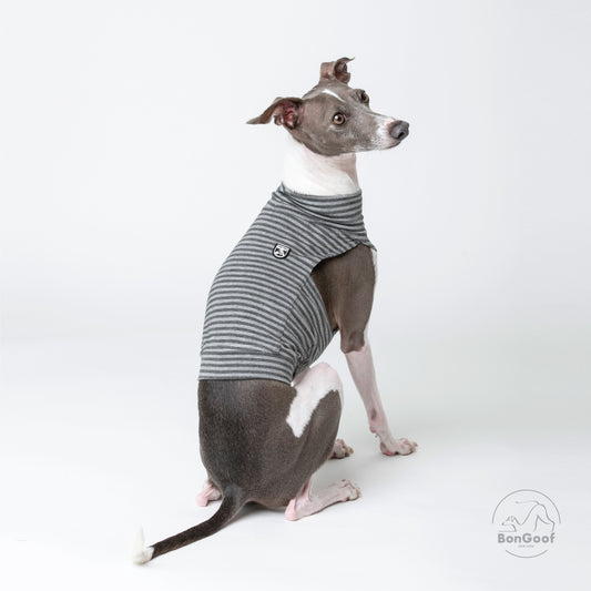 EchoPace Crop Top - Grey Stripe