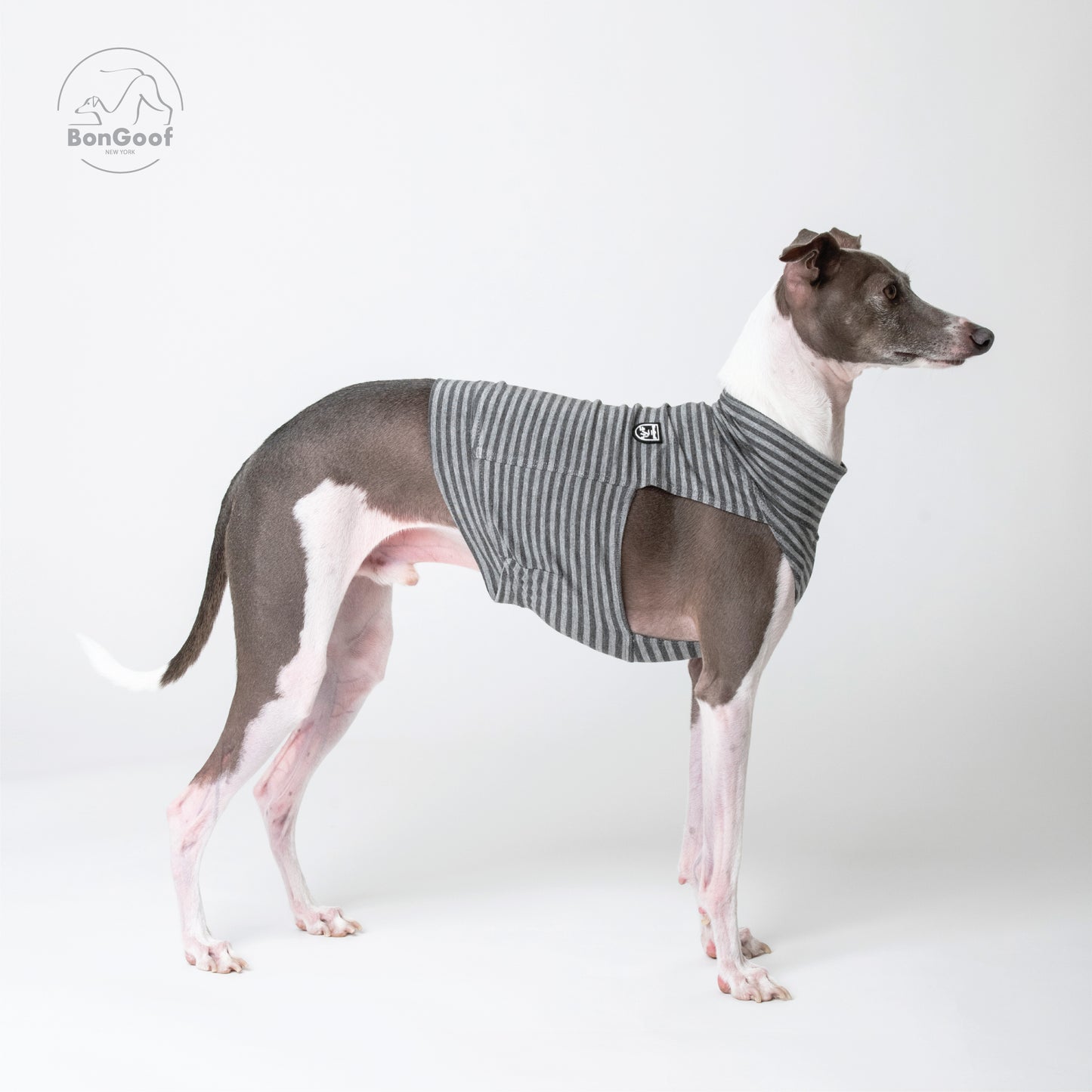 EchoPace Crop Top - Grey Stripe