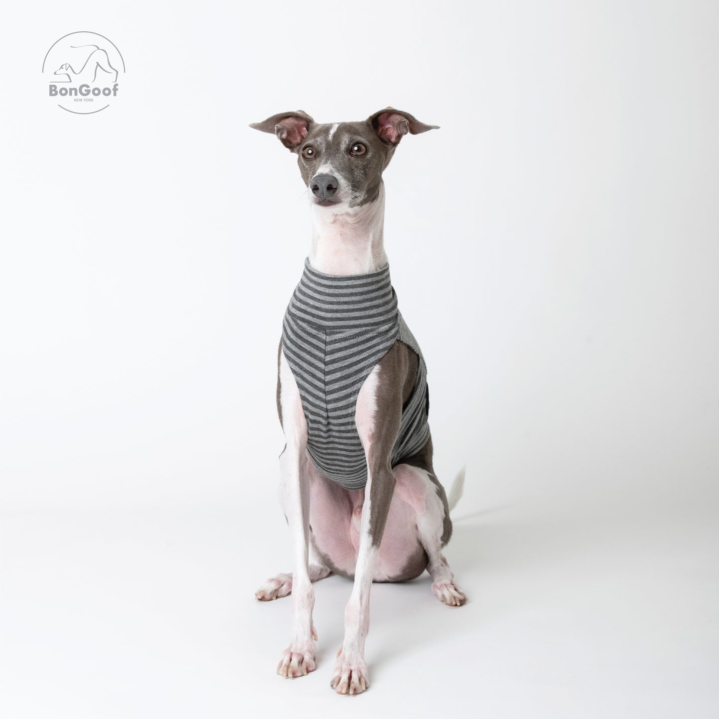 EchoPace Crop Top - Grey Stripe