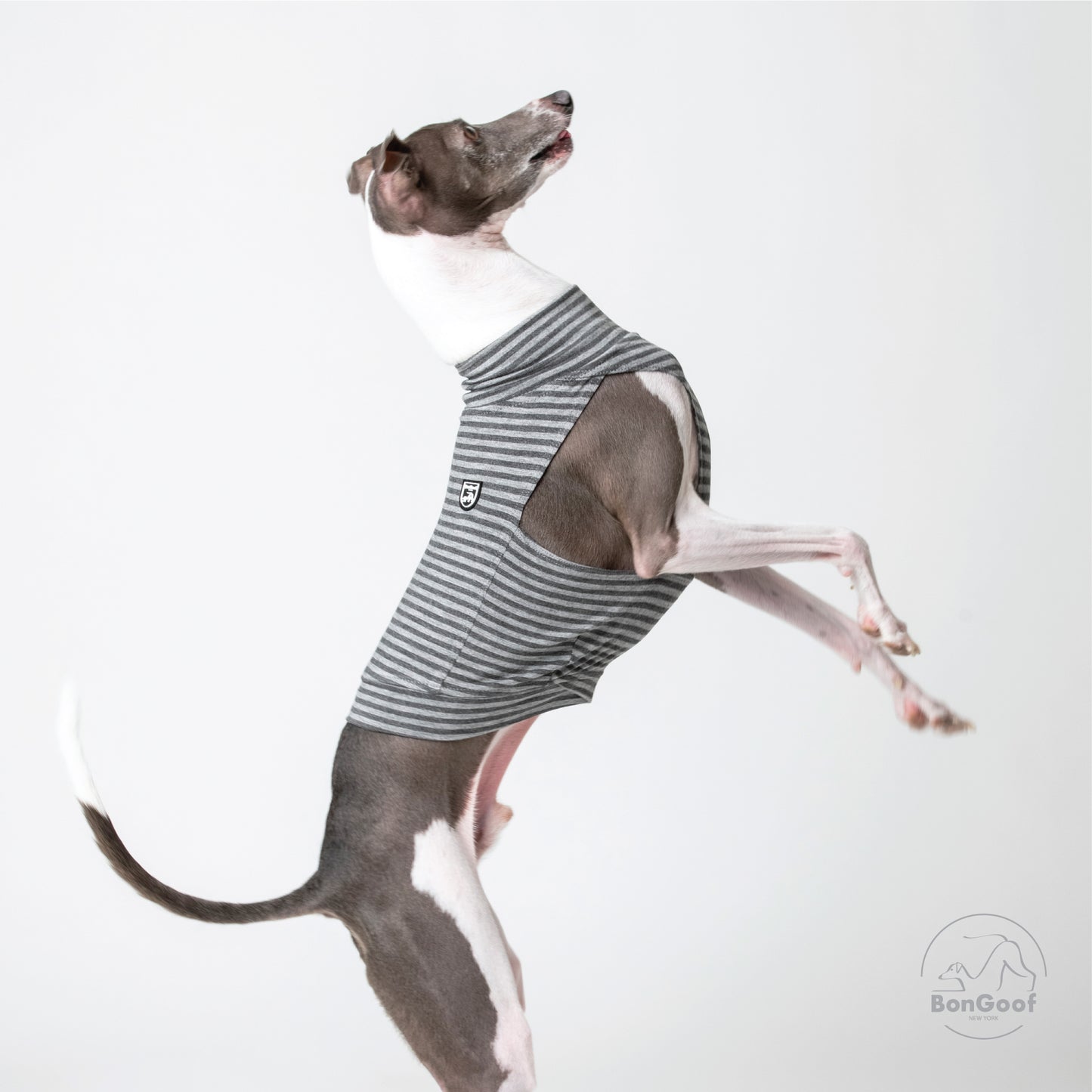 EchoPace Crop Top - Grey Stripe