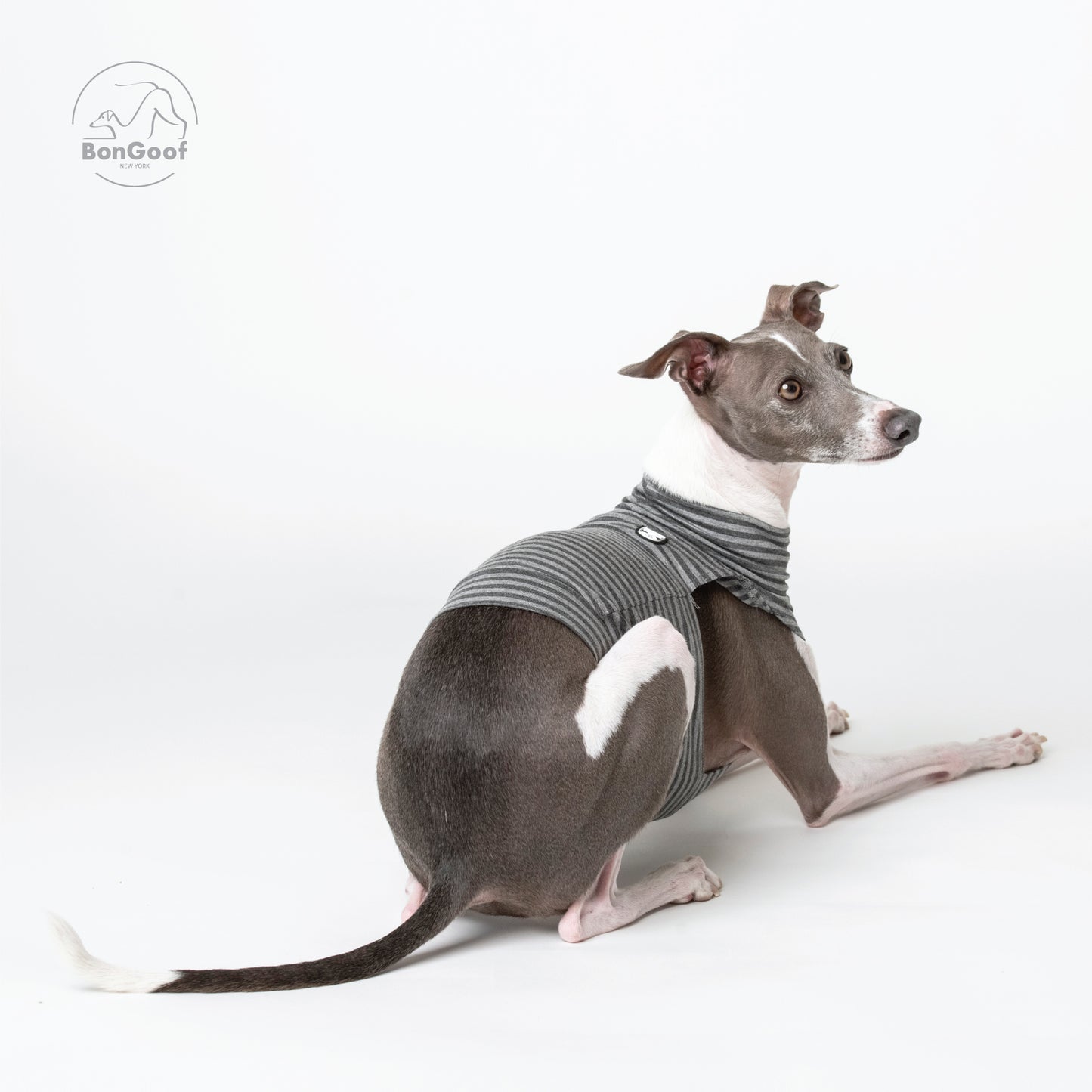 EchoPace Crop Top - Grey Stripe