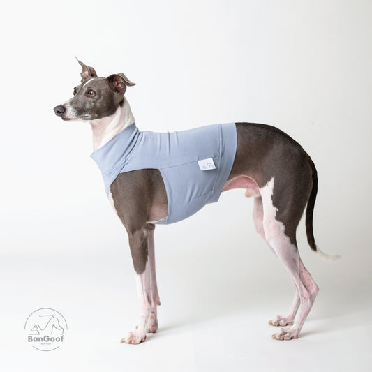 EchoPace Crop Top - Milky Blue