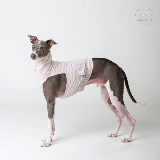 EchoPace Crop Top - Pink Pearl Stripe