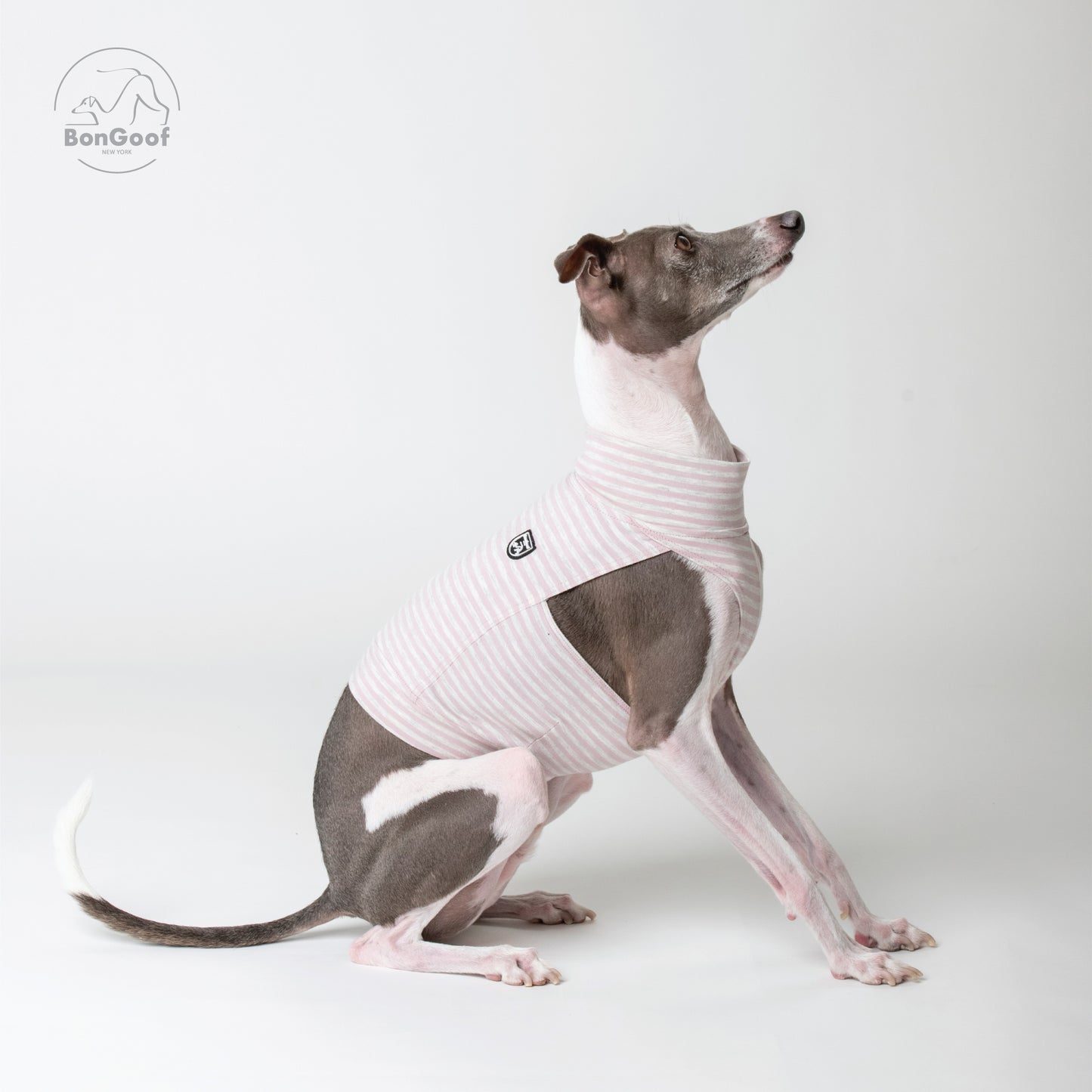 EchoPace Crop Top - Pink Pearl Stripe