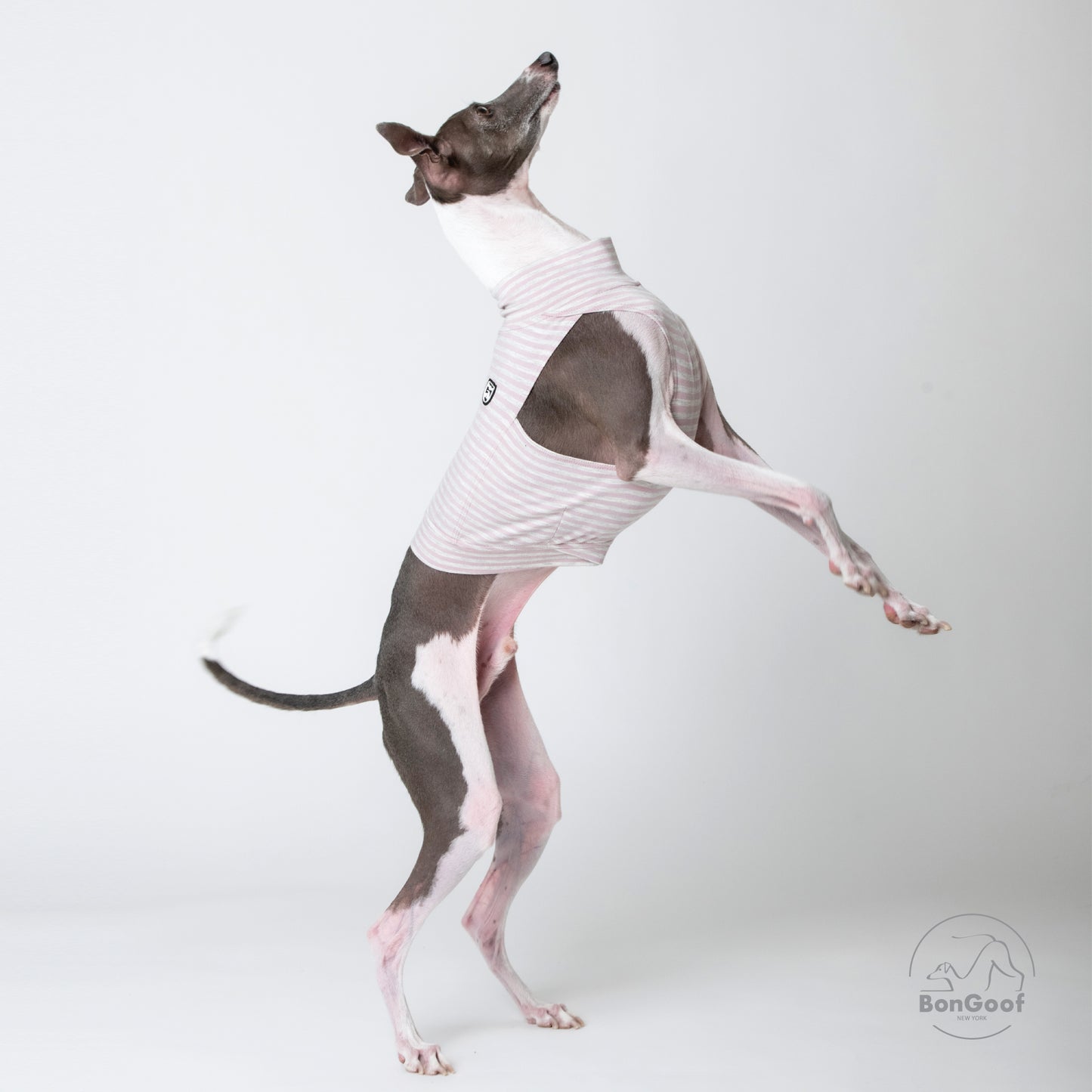 EchoPace Crop Top - Pink Pearl Stripe