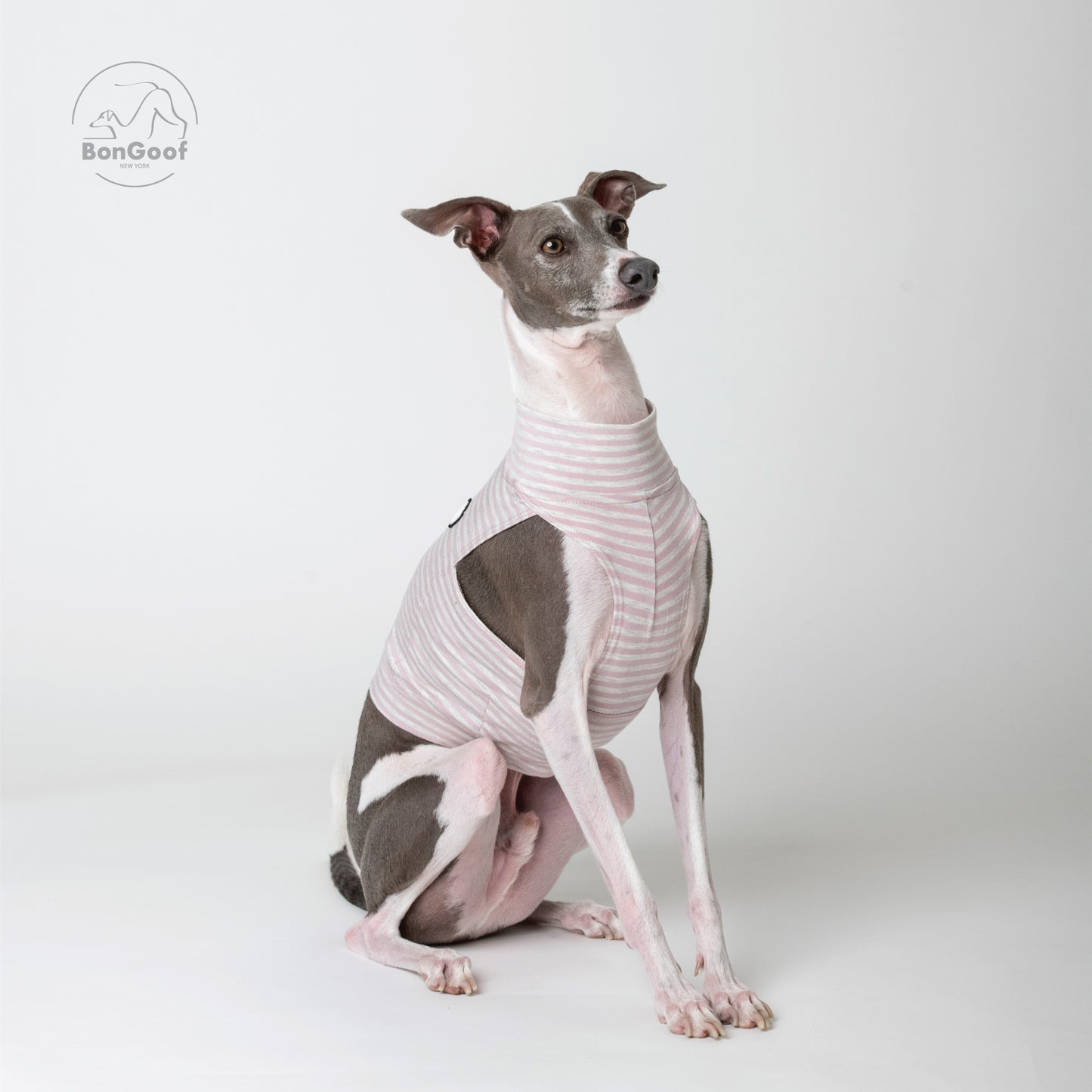 EchoPace Crop Top - Pink Pearl Stripe