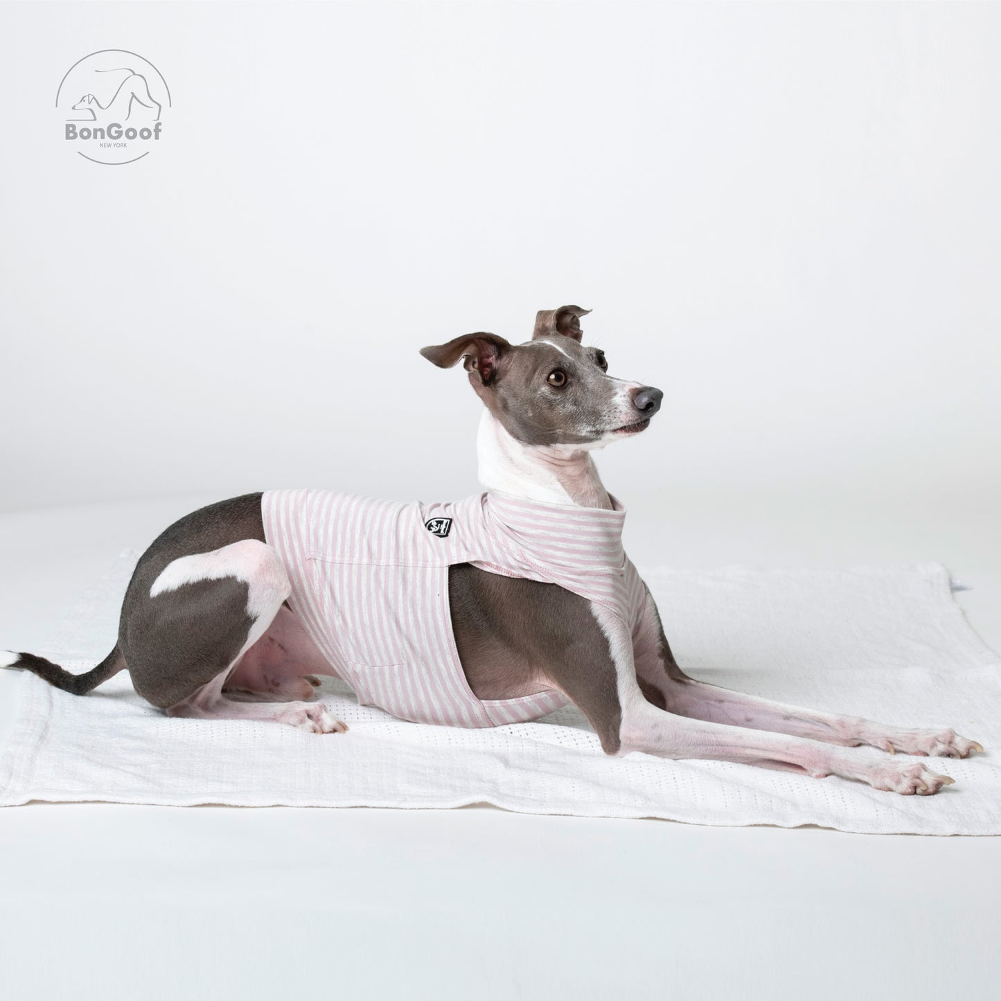 EchoPace Crop Top - Pink Pearl Stripe