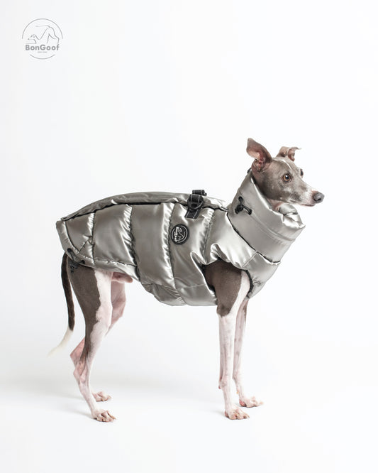 Dog wearing the BonGoof LUMI Vest in Chrome, side view showing the glossy chrome-colored padded body, high collar and logo patch.