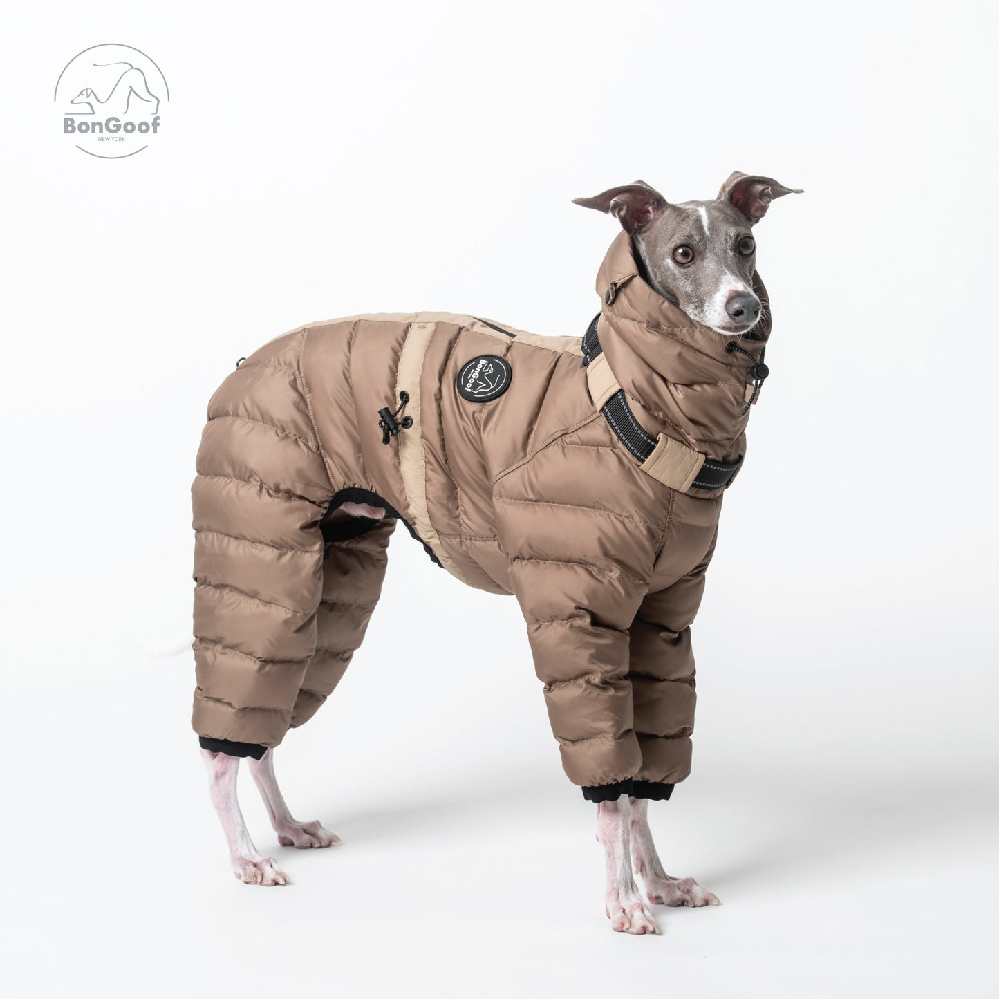 The Michelin - Camel