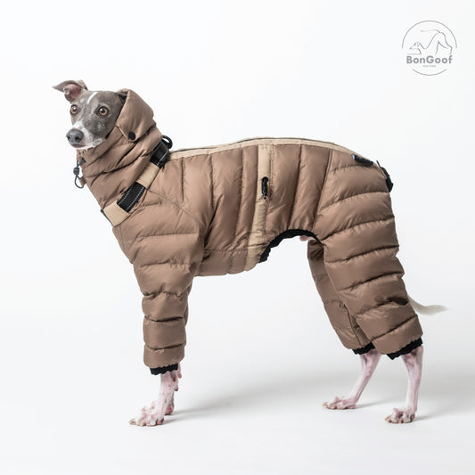 The Michelin - Camel