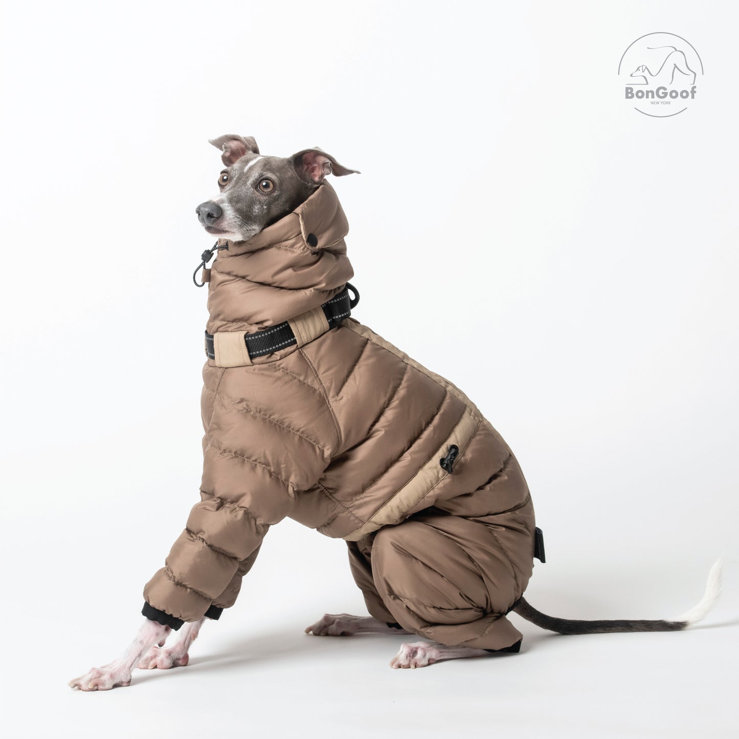 The Michelin - Camel