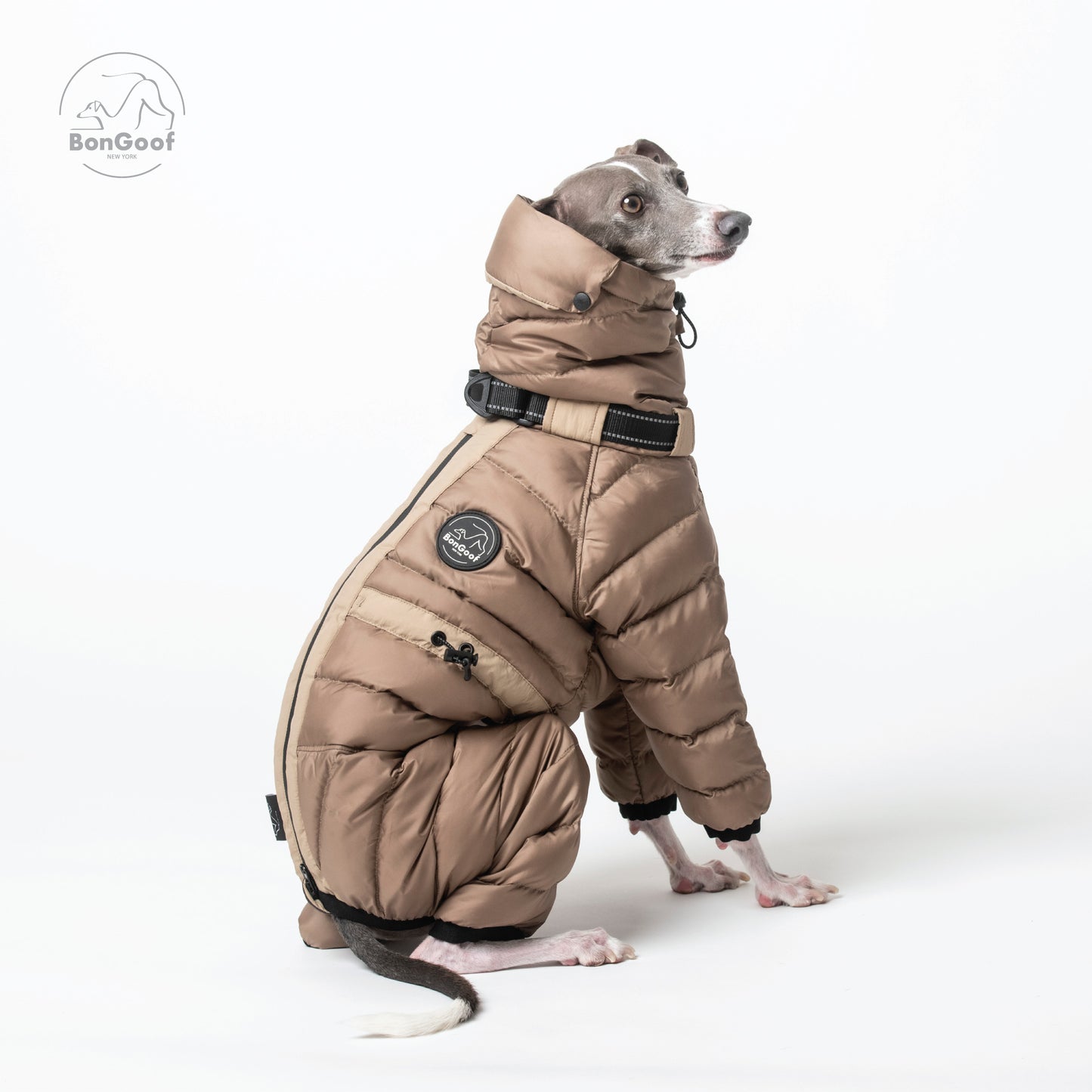 The Michelin - Camel