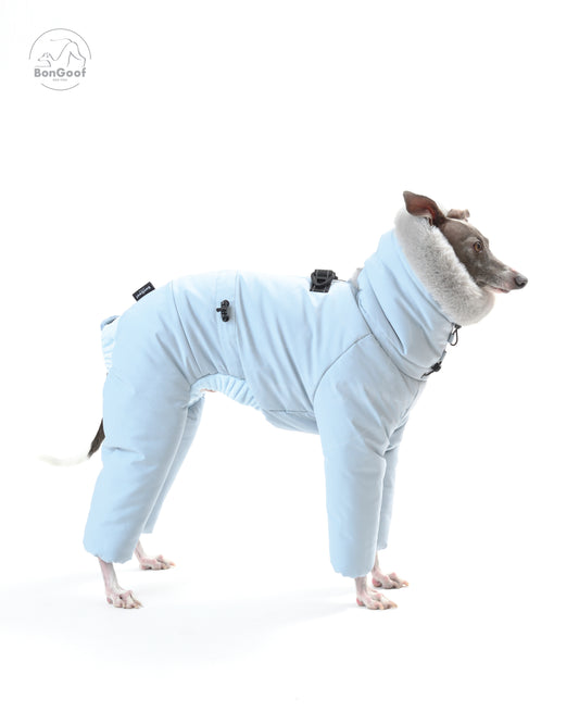 SUIT-PREMO - Blue Angel