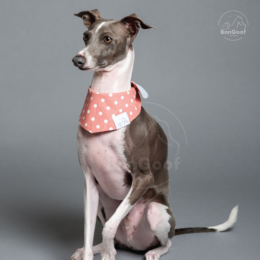 BOWDANA - POLKA DOT - ROSE