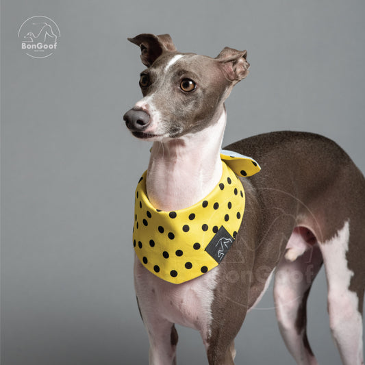 BOWDANA - POLKA DOT - YELLOW