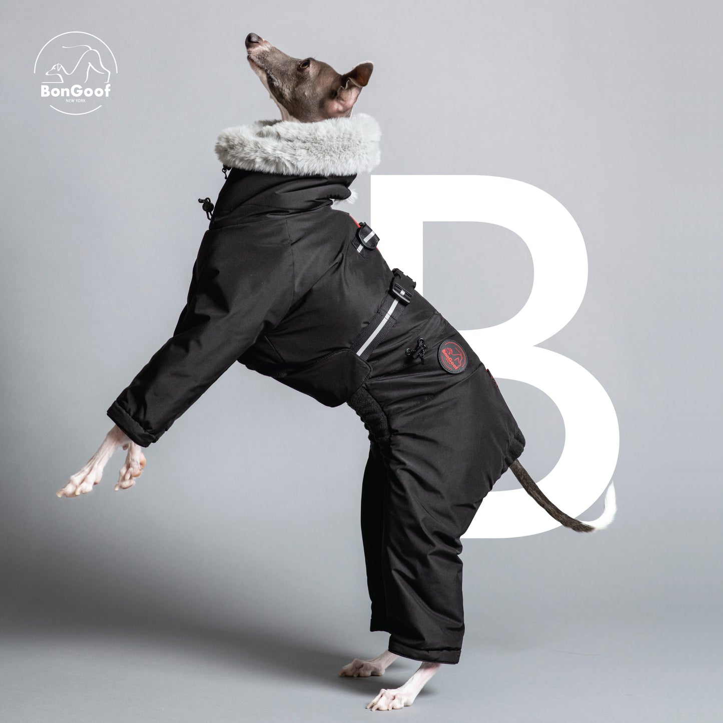 SUIT-PREME II - BLACK
