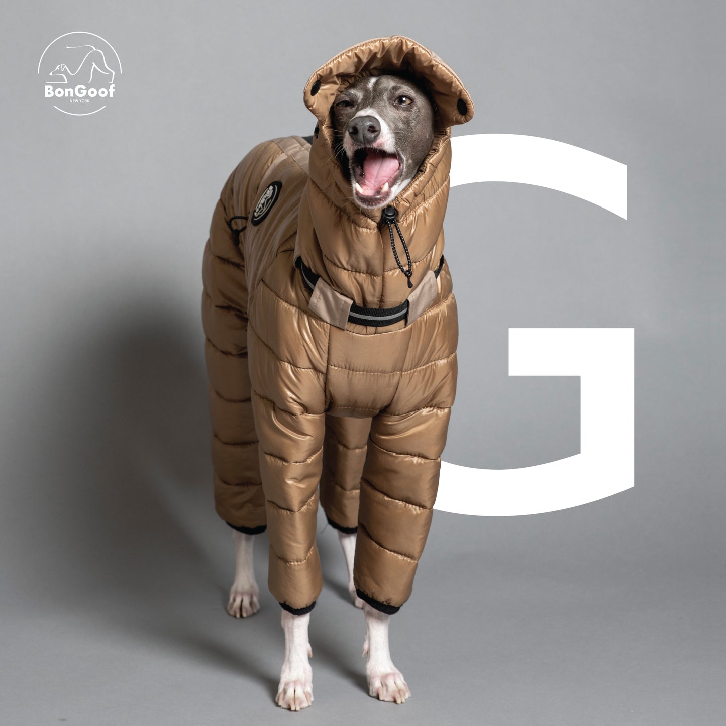 Michelin - GOLD
