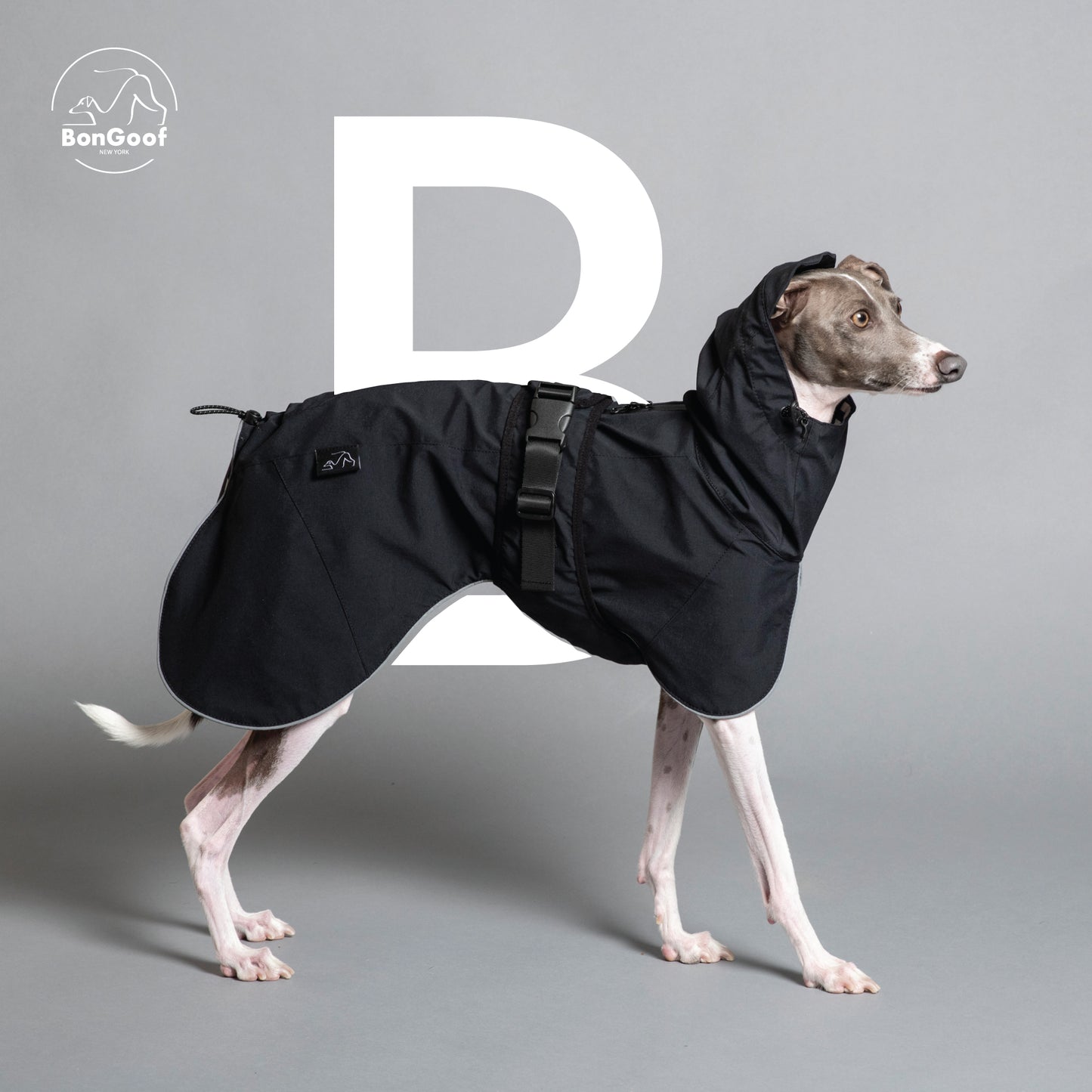 PUPbrella - Black
