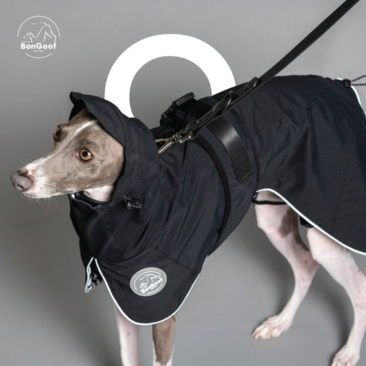 PUPbrella - Black
