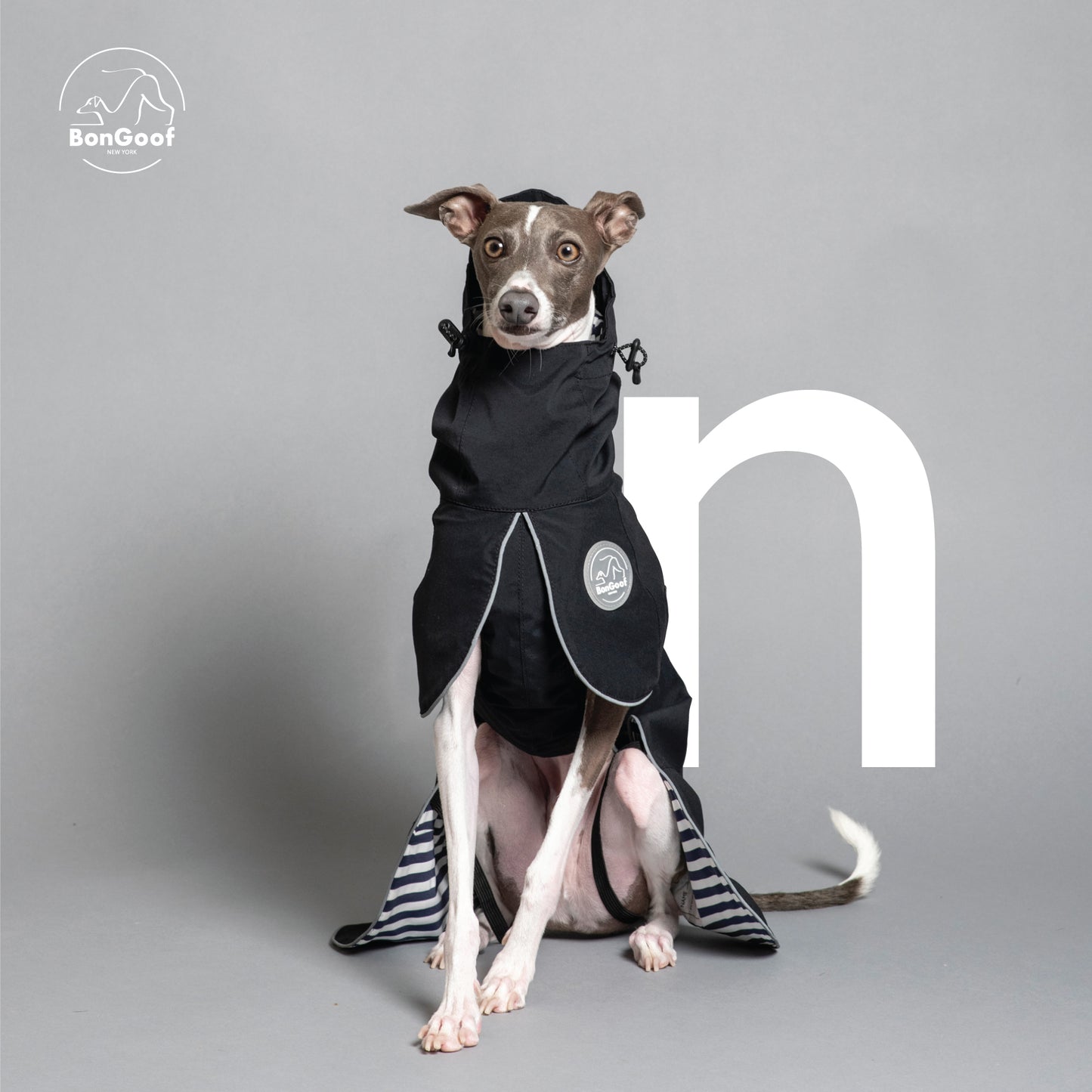PUPbrella - Black