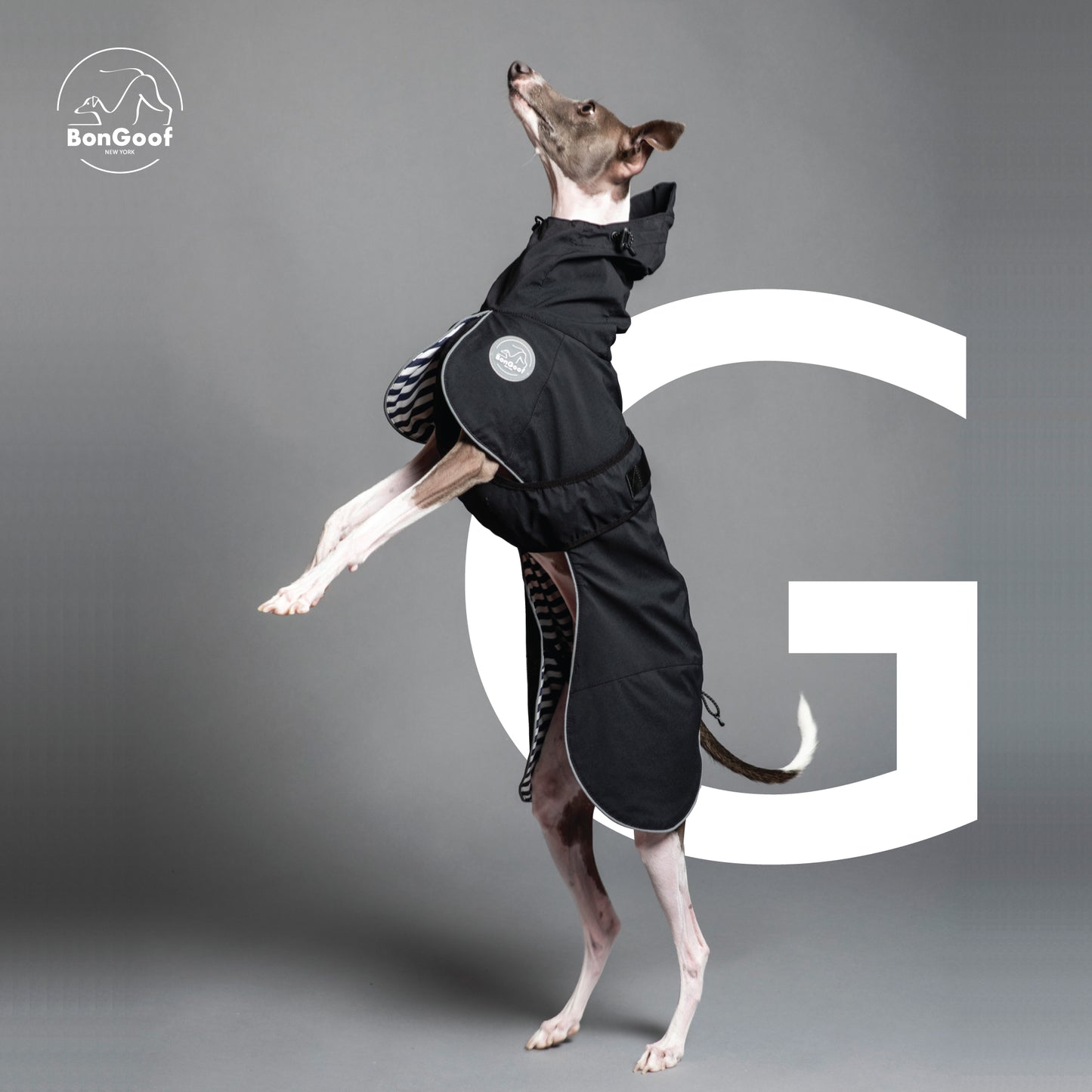 PUPbrella - Black