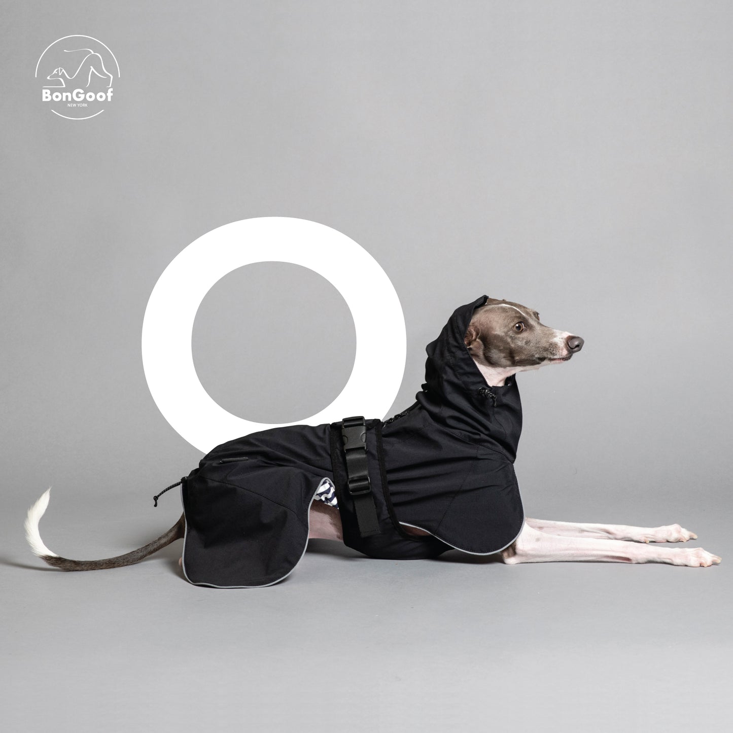 PUPbrella - Black