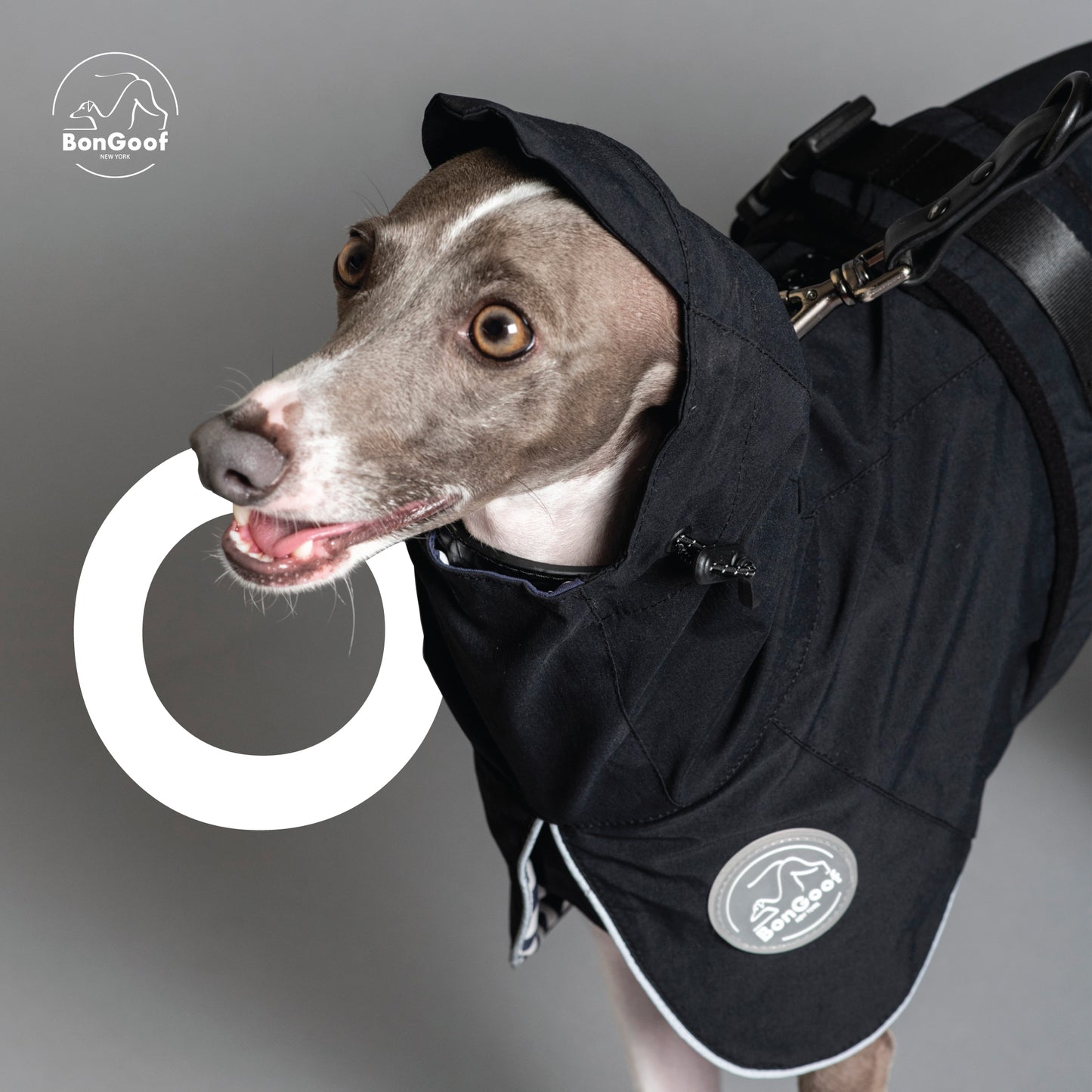PUPbrella - Black