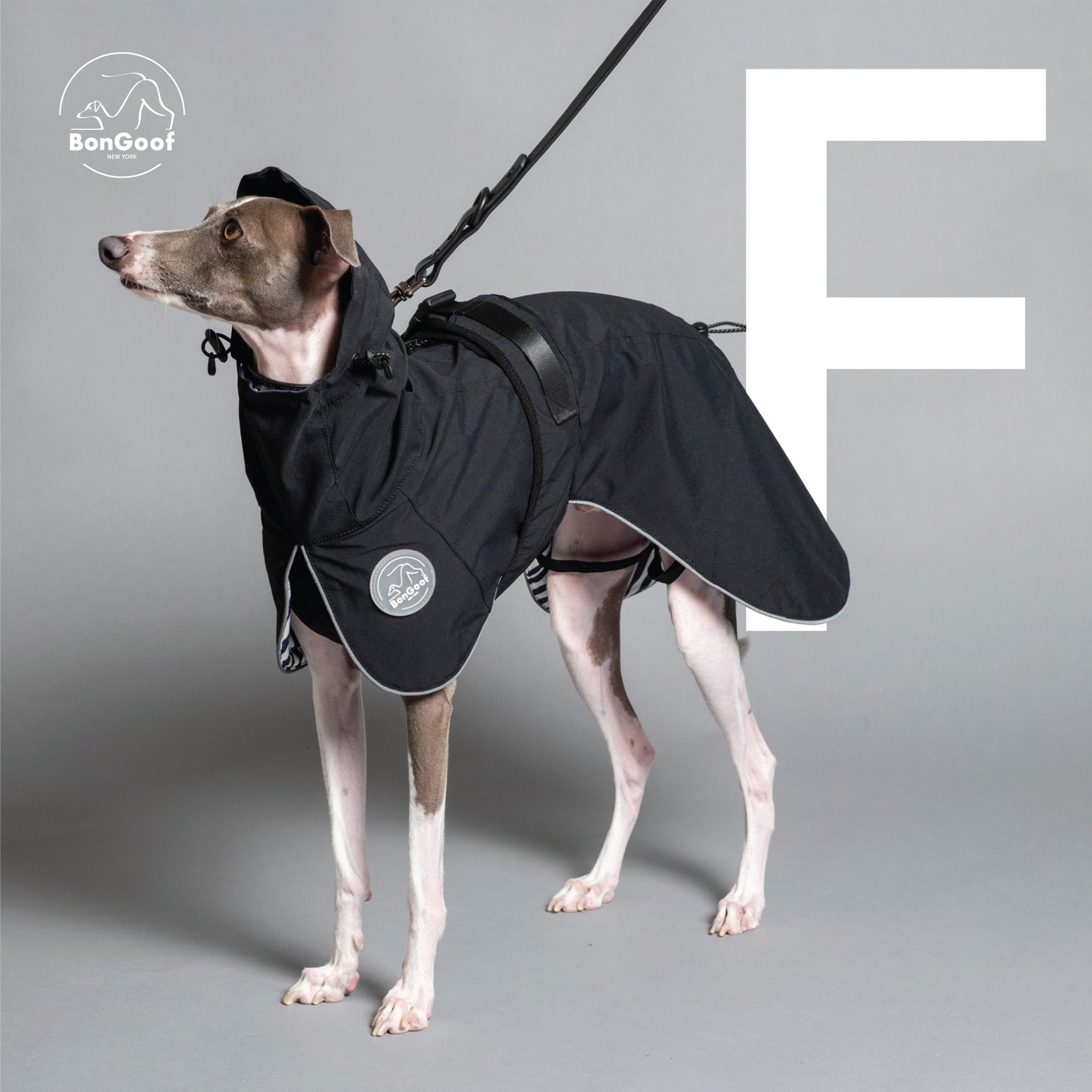 PUPbrella - Black