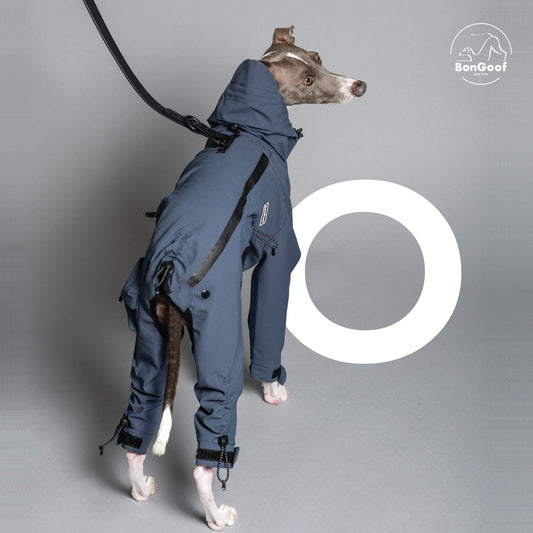 SpaceX Suit - Harbour