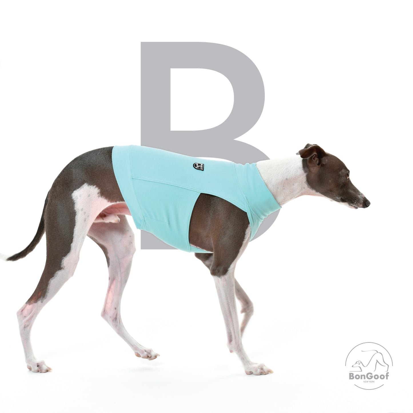 CozyPace Crop Top (rPET) - Aqua