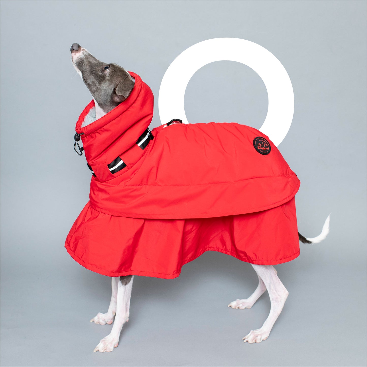 WOOFtheRAIN
