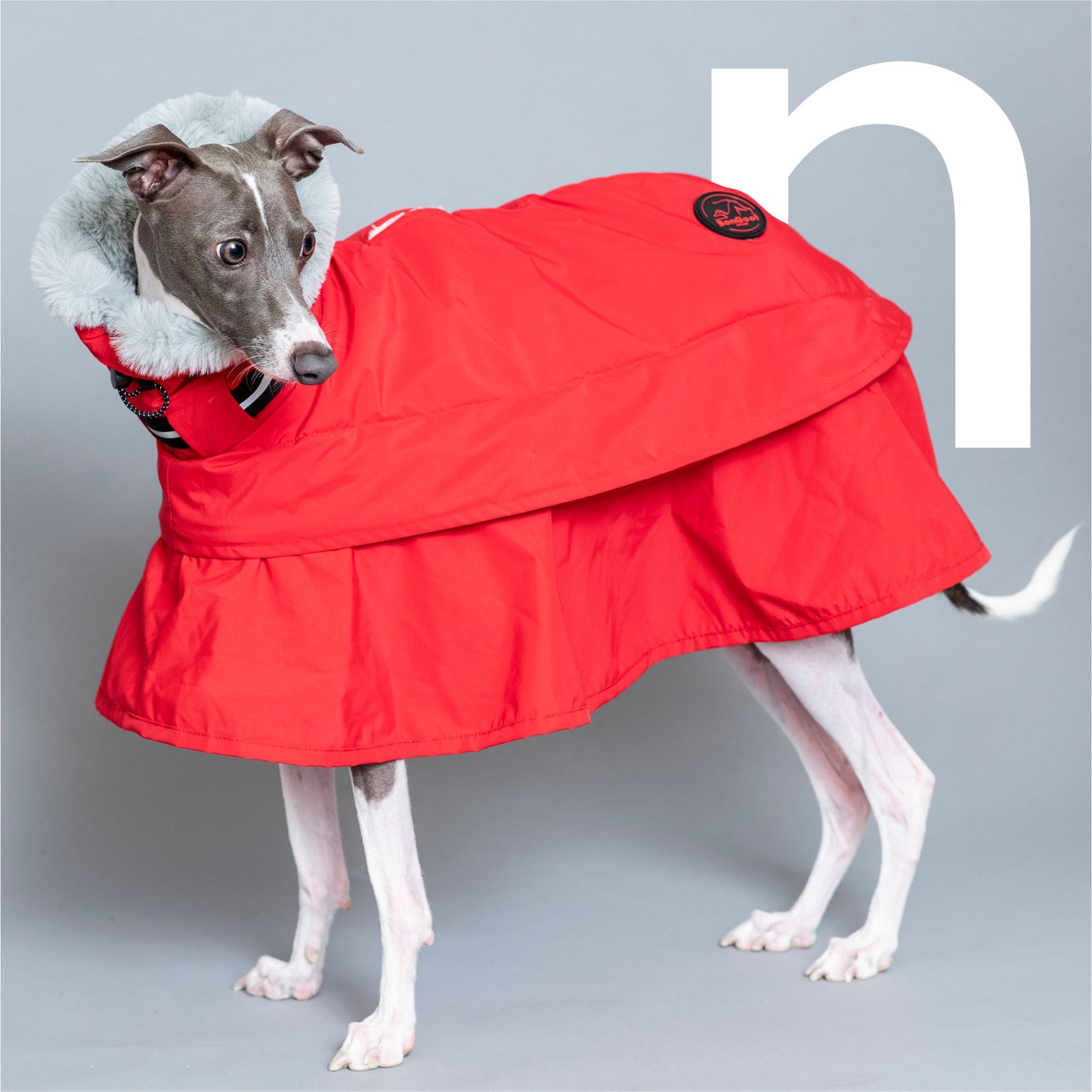 WOOFtheRAIN