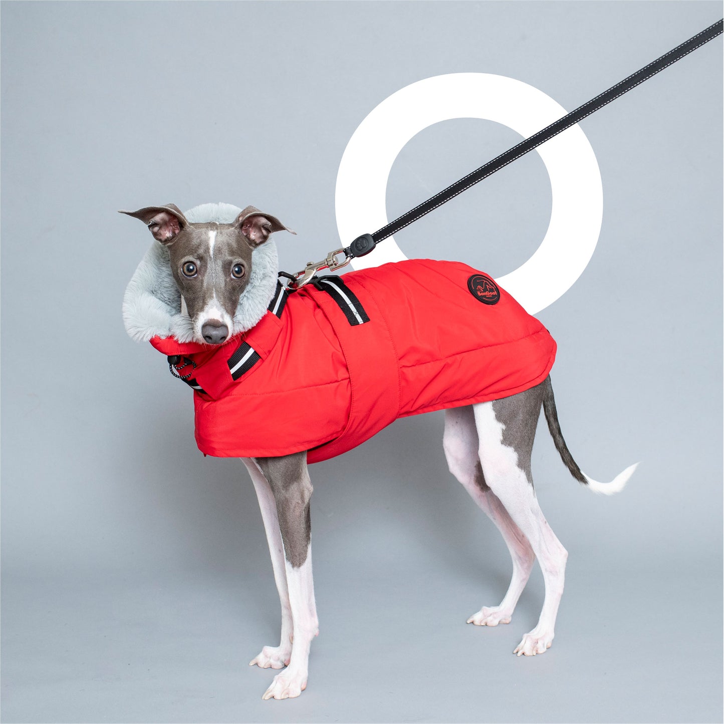 WOOFtheRAIN