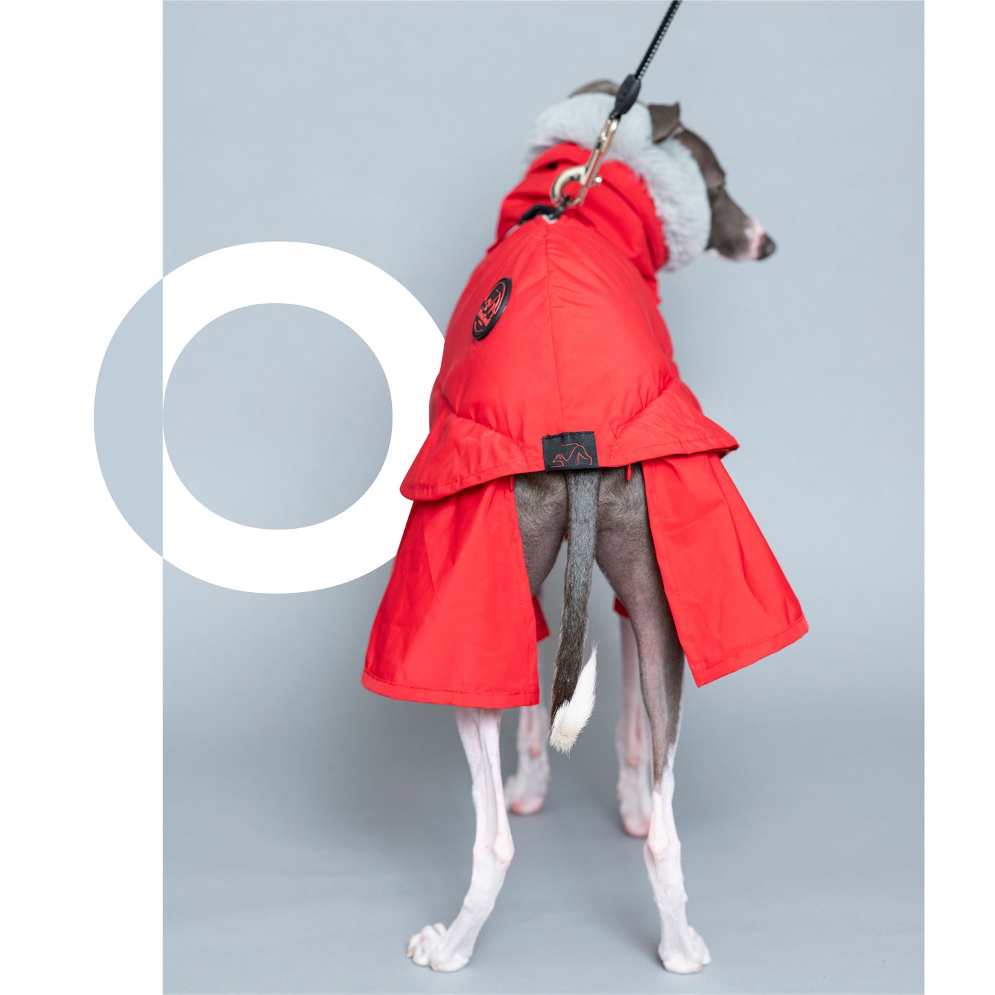 WOOFtheRAIN