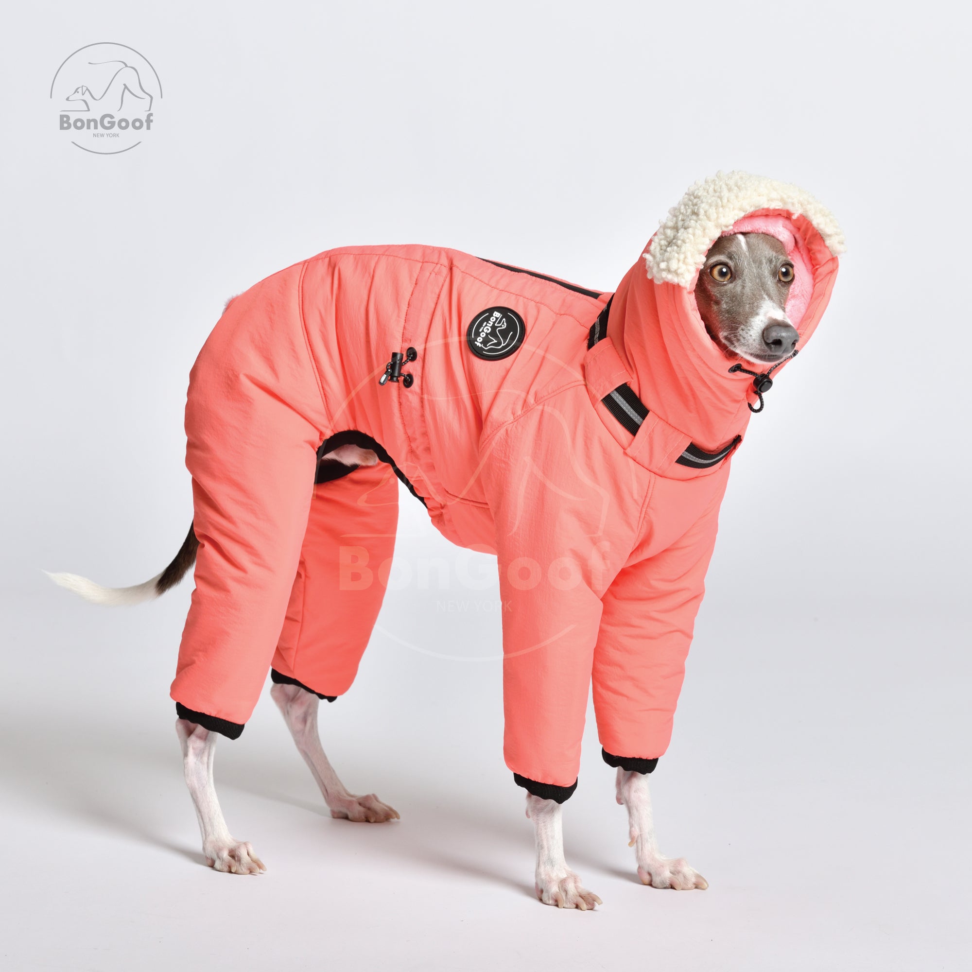 Greyhound snowsuit hot sale