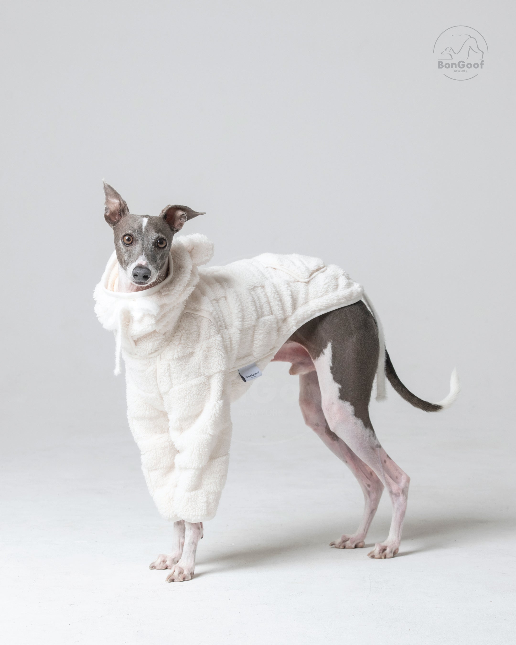 CUBBY Hoodie Cream – Italian Greyhound, Small Whippet & Min Pin