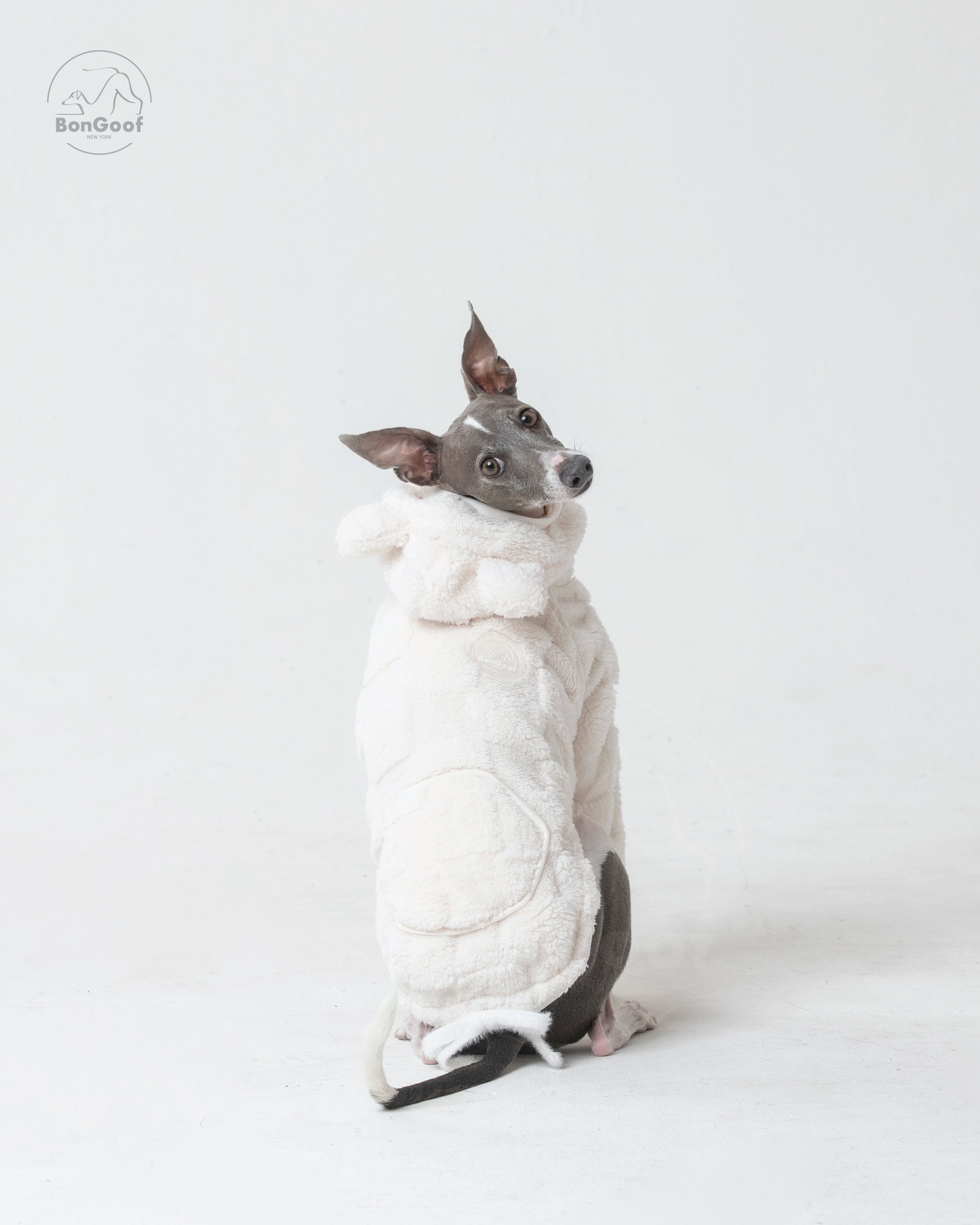 CUBBY Hoodie Cream – Italian Greyhound, Small Whippet & Min Pin