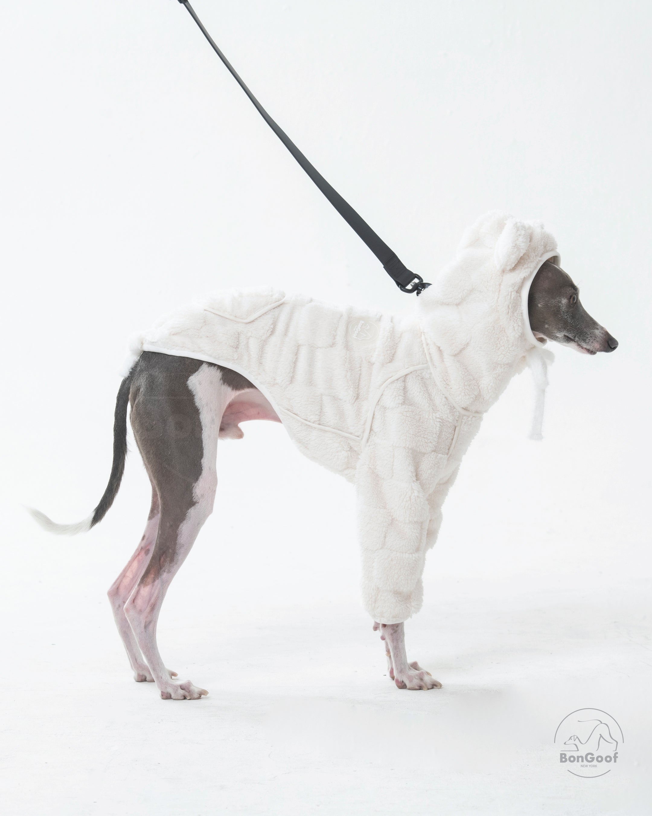 CUBBY Hoodie Cream – Italian Greyhound, Small Whippet & Min Pin