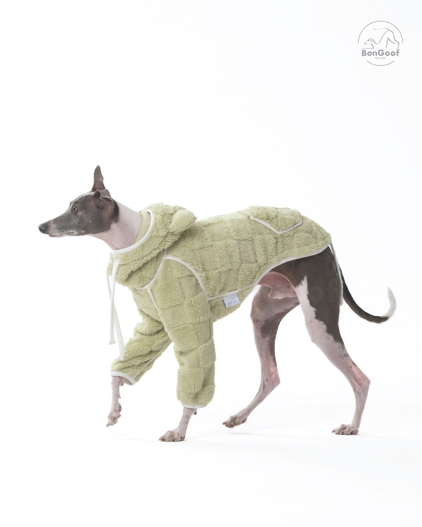 CUBBY Hoodie - Key Lime